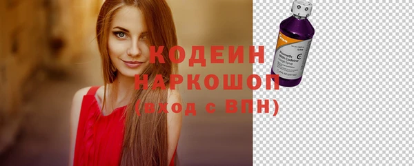хмурый Богородск