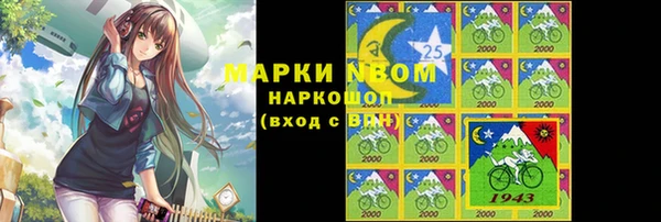 хмурый Богородск