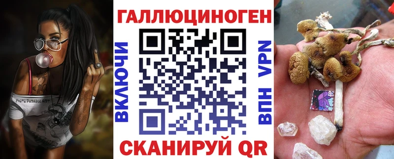 где можно купить   МЕГА ссылка  Псилоцибиновые грибы Magic Shrooms  Оха 